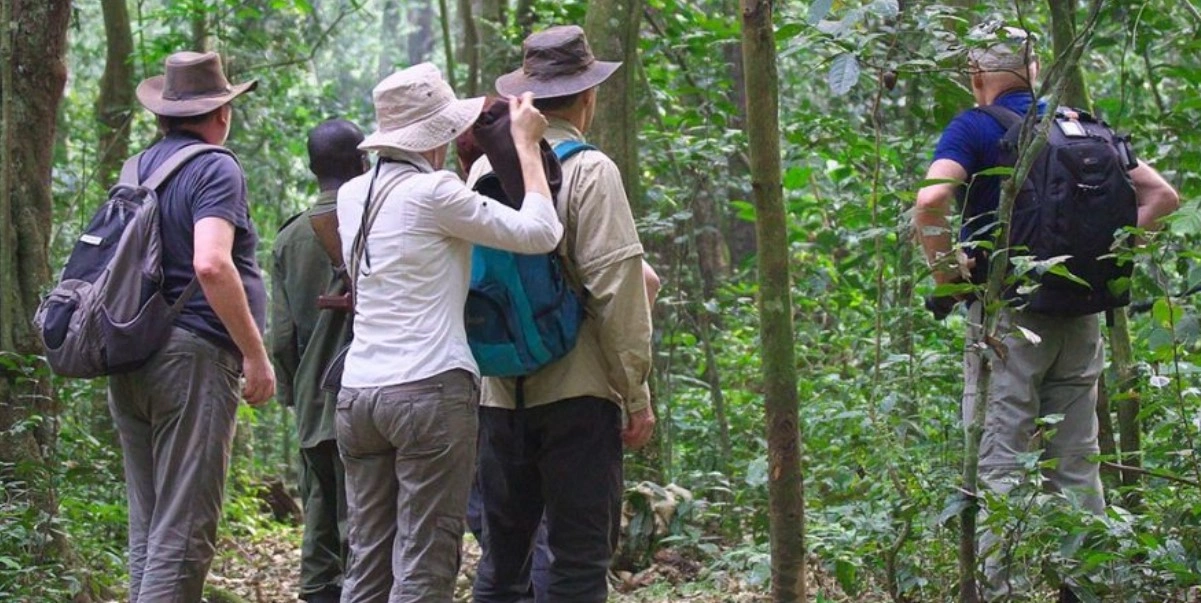 budget-uganda-safari-holidays-2024-2025-and-2026